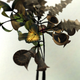 Illustration for article titled These Beautifully Realistic Flowers Are Actually Pure Code